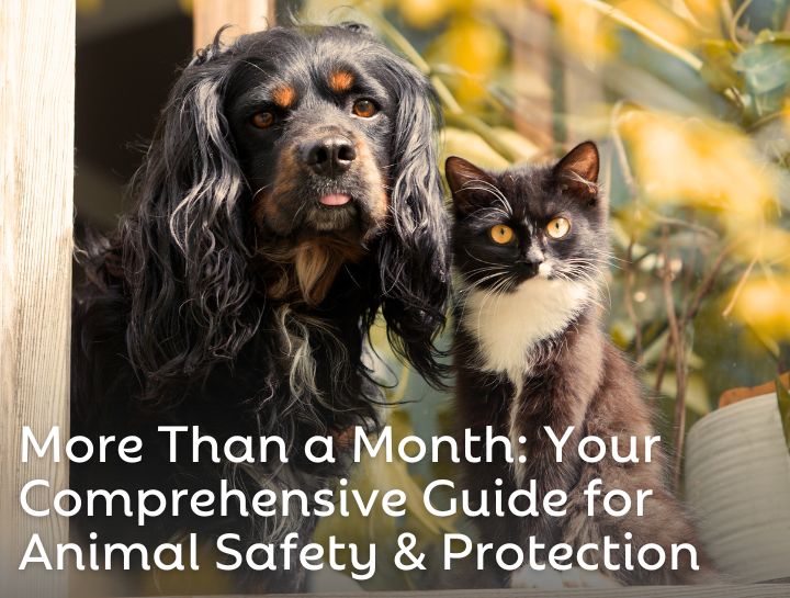 Your Comprehensive Guide for Animal Safety and Protection