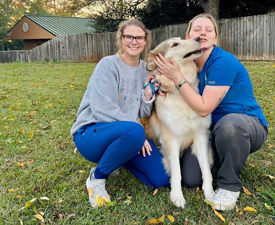 Comprehensive health and wellness benefits