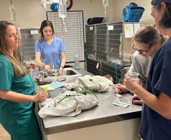 Education and training programs