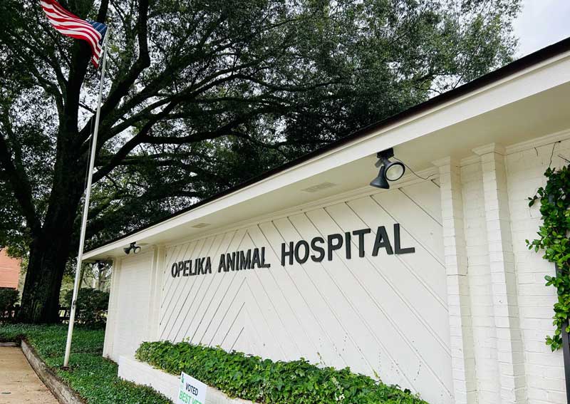 Carousel Slide 2: Learn more about us!